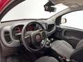 Fiat Panda Cross 1.0 FireFly Hybrid Rosso - thumbnail 15