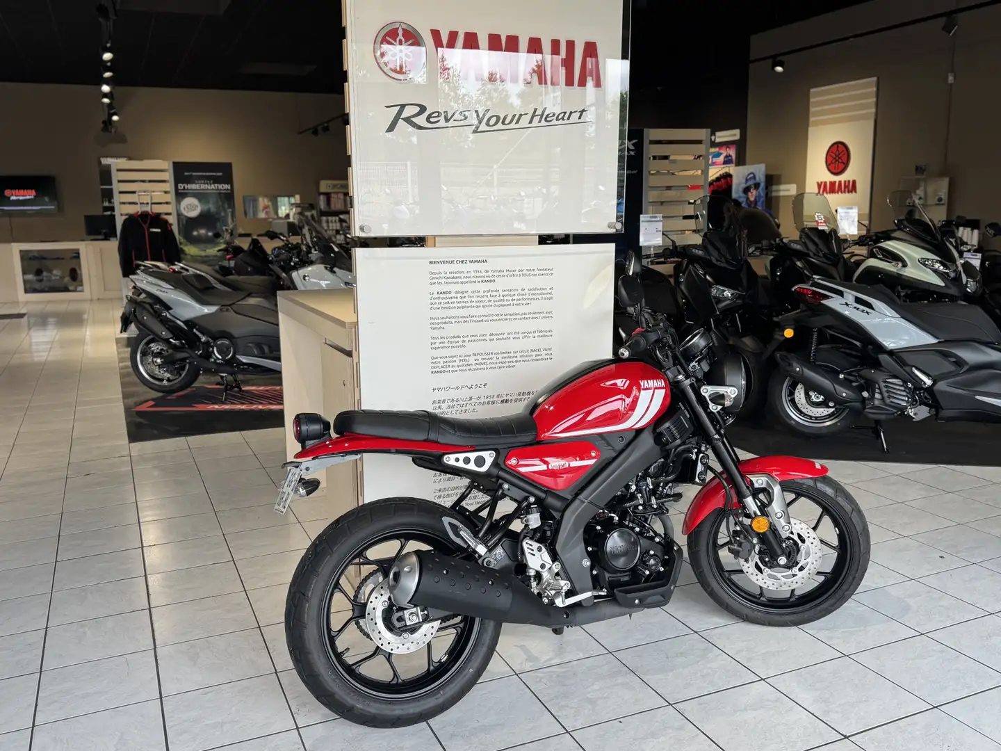 Yamaha XSR 125 Rouge - 2