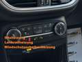 Ford Puma Titanium X Hybrid Automatik *viele Extras* 1.Bes Blau - thumbnail 10