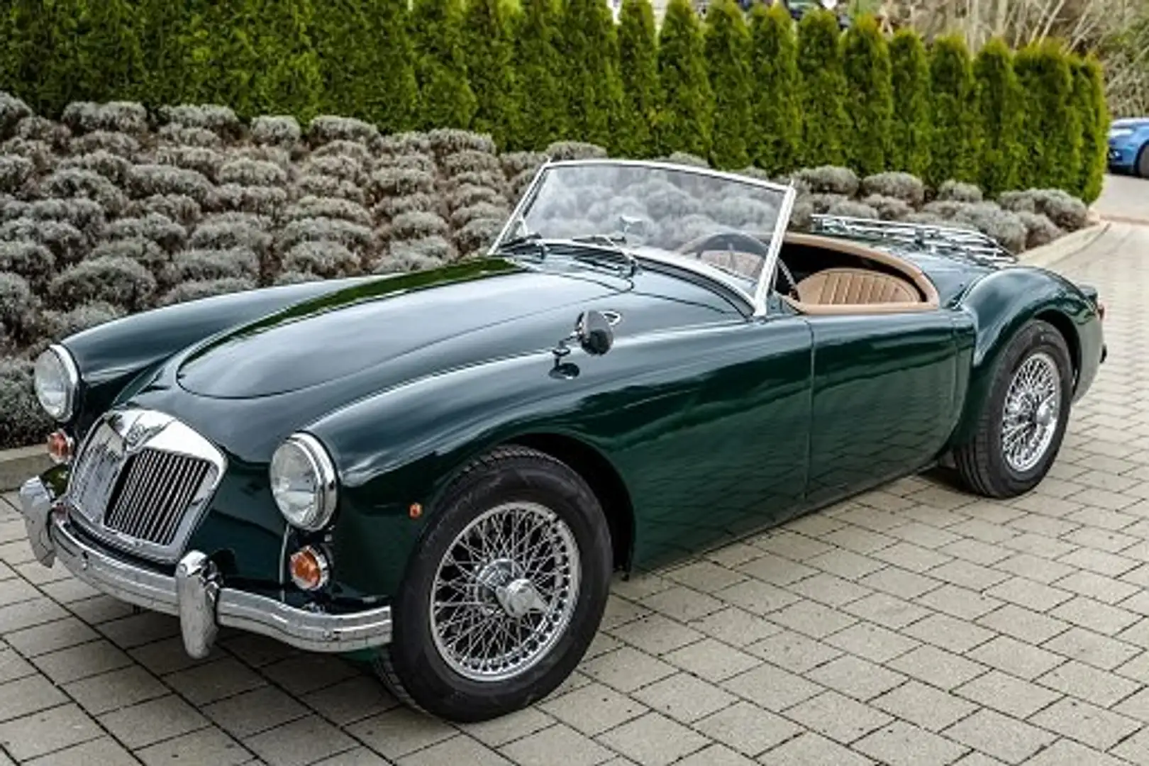 MG MGA MG MGA Grün - 1