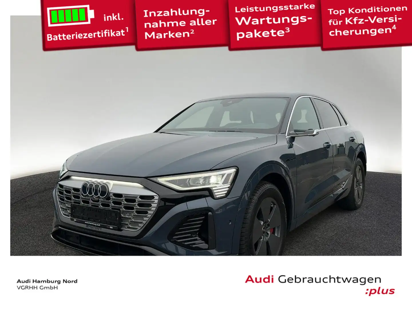 Audi Q8 e-tron 55 S line quat. HeadUp Navi ACC Matrix Blau - 1