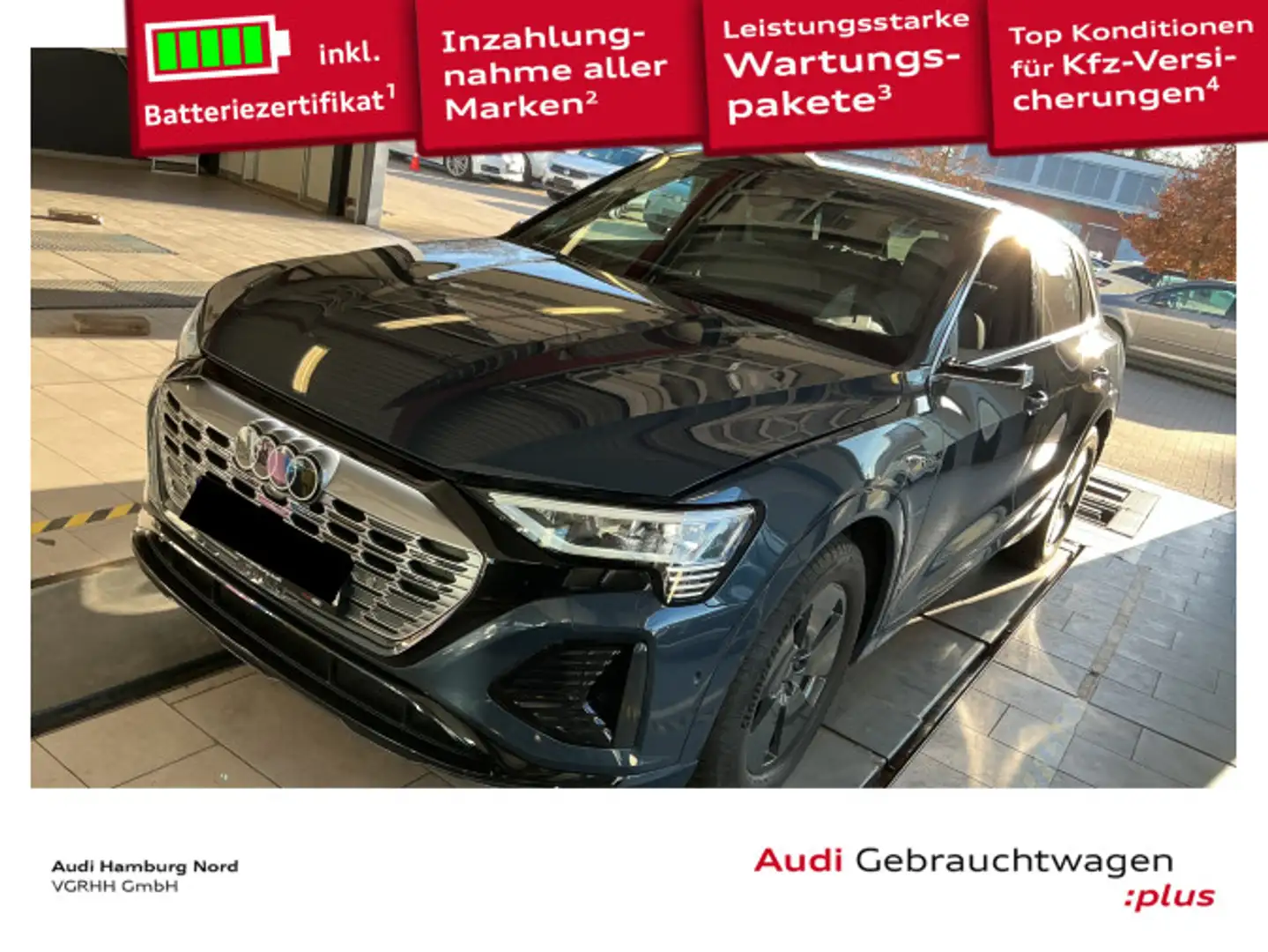 Audi Q8 e-tron 55 S line quat. HeadUp Navi ACC Matrix Blau - 1