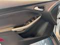 Ford Focus Turnier Champions Edition SYNC Plateado - thumbnail 5