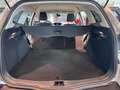 Ford Focus Turnier Champions Edition SYNC Plateado - thumbnail 34