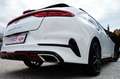 Kia ProCeed / pro_cee'd ProCeed 1,6 GT Autom.Navi,Pano,Spur,Laser, Beyaz - thumbnail 10