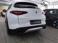 Alfa Romeo Stelvio (AUTOCARRO) 2.2 160 CV AT8 RWD Super Business Bianco - thumbnail 6
