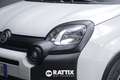 Fiat Panda 1.0 Firefly Hybrid 70CV Cross 5p.ti Blanc - thumbnail 3