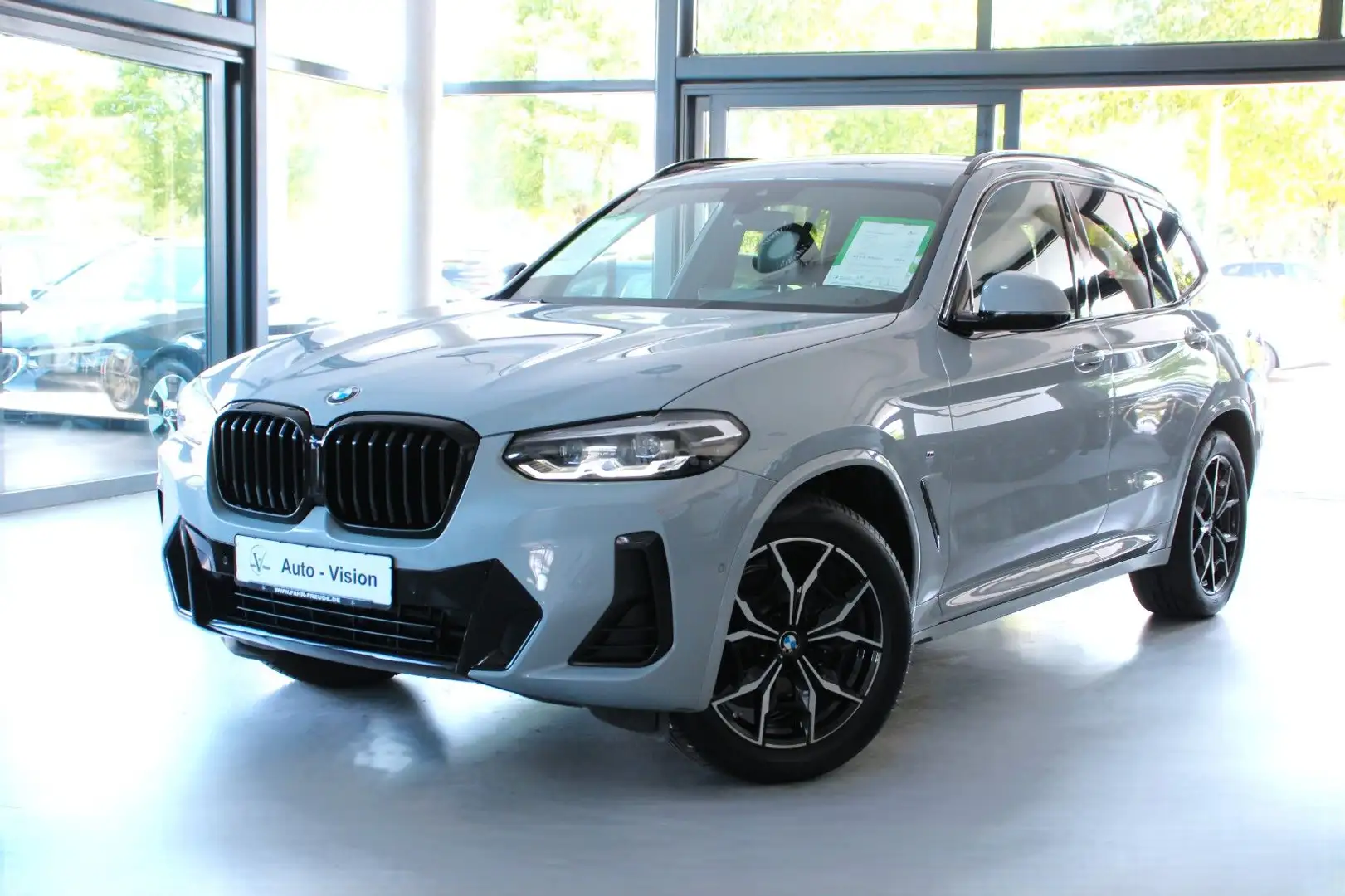 BMW X3 xDrive 20d M Sport (G01) *LED*DrivAss*AHK Grijs - 1