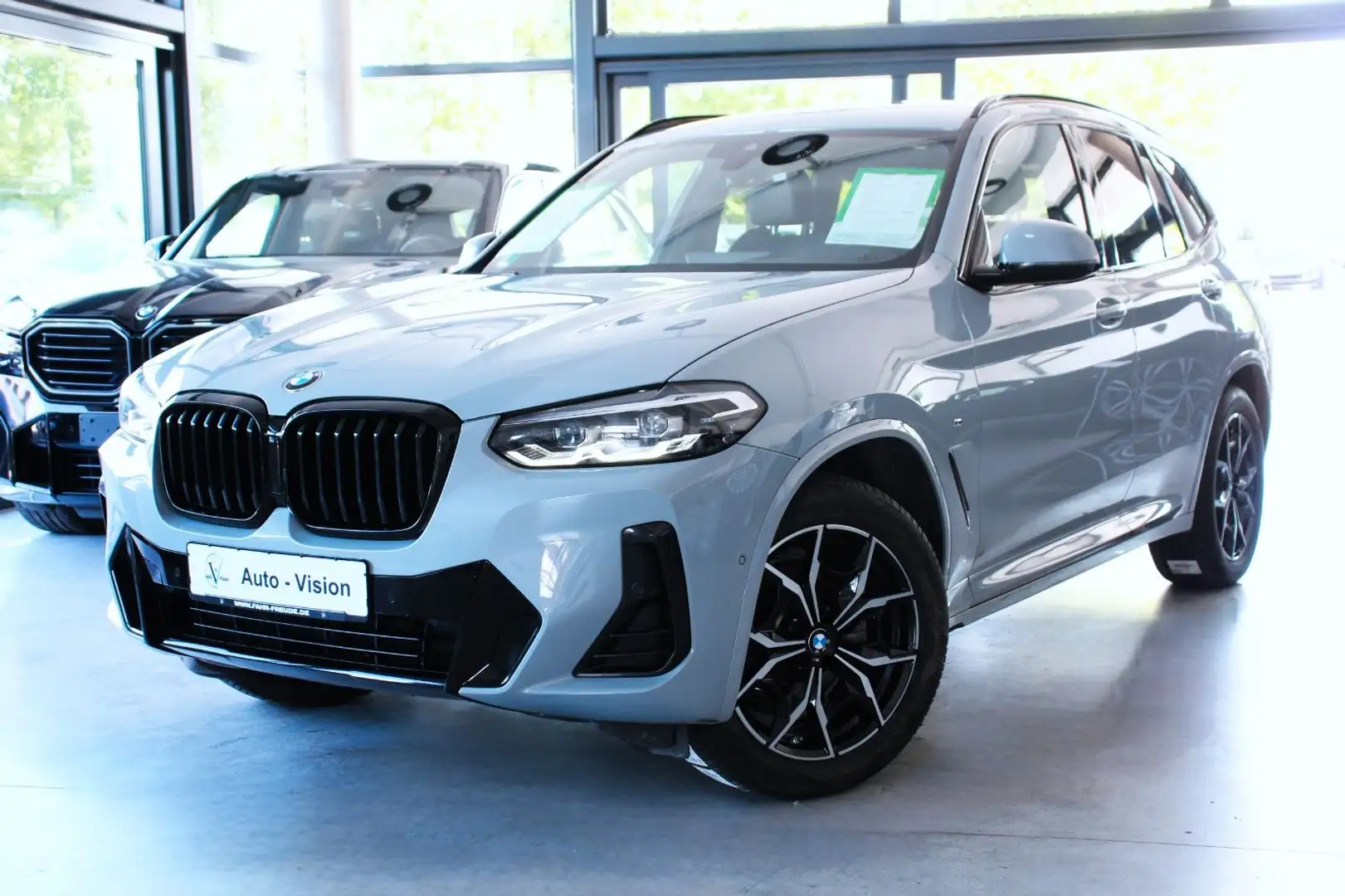 BMW X3 xDrive 20d M Sport (G01) *LED*DrivAss*AHK Grau - 1