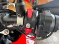 Ducati Hypermotard 950 RVE + RK Approved Rood - thumbnail 5