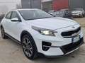 Kia XCeed XCeed 2019 1.6 crdi  115cv UNICA PROPRIETARIA Weiß - thumbnail 3