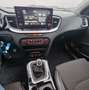 Kia XCeed XCeed 2019 1.6 crdi  115cv UNICA PROPRIETARIA Weiß - thumbnail 9