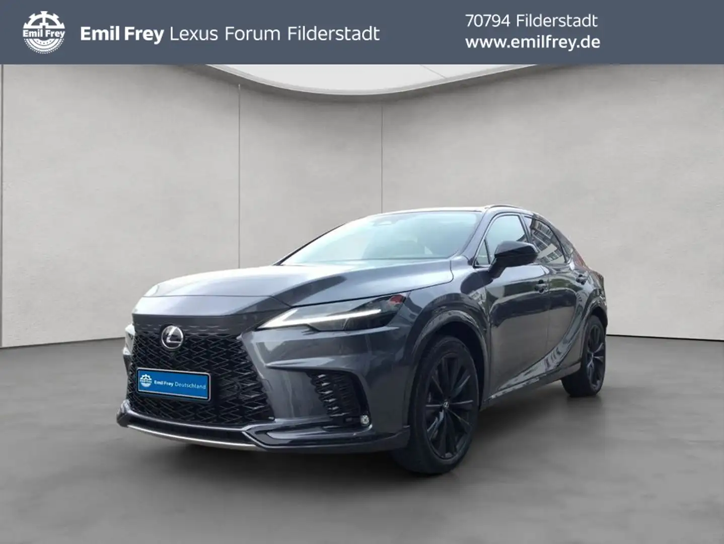 Lexus RX500h F-Sport Perform. + Grau - 1