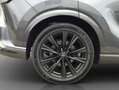 Lexus RX500h F-Sport Perform. + Grau - thumbnail 5