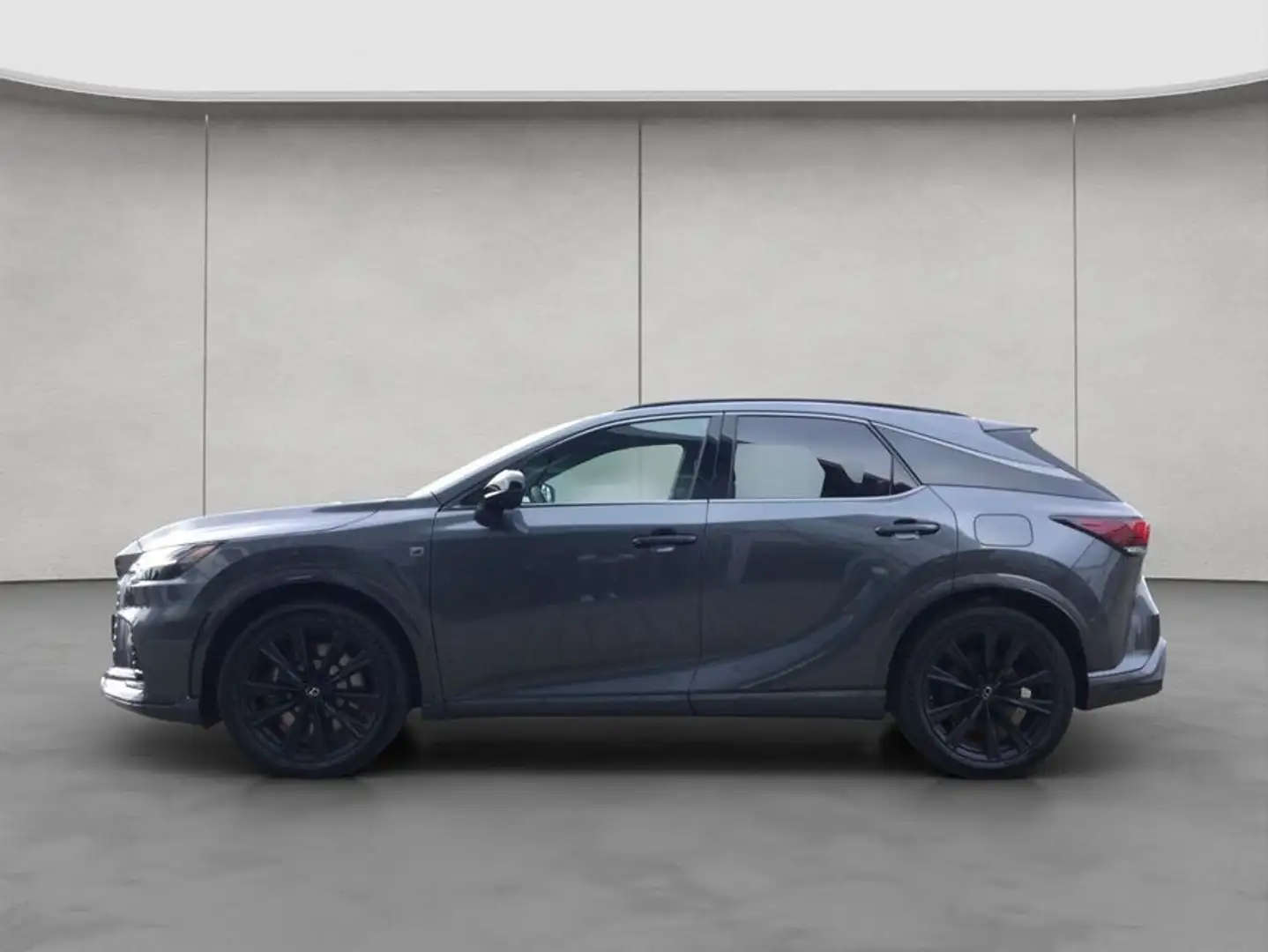 Lexus RX500h F-Sport Perform. + Grau - 2