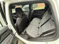 Renault Austral Evolution Navi/LED/Kamera Blanc - thumbnail 7