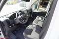Fiat Ducato MAXI L4 Kofferaufbau mit Laderampe & Anhängevorrichtung  350 Weiß - thumbnail 8