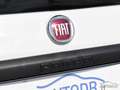 Fiat Panda 0.9 TwinAir Turbo Natural Power City Life KM CERTI Weiß - thumbnail 36