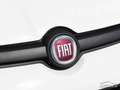 Fiat Panda 0.9 TwinAir Turbo Natural Power City Life KM CERTI Weiß - thumbnail 33