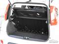 Fiat Panda 0.9 TwinAir Turbo Natural Power City Life KM CERTI Weiß - thumbnail 29