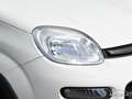 Fiat Panda 0.9 TwinAir Turbo Natural Power City Life KM CERTI Weiß - thumbnail 31