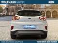 Ford Puma Titanium Navi Automatik LED ACC DAB TWA GJR Blanc - thumbnail 4