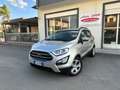 Ford EcoSport 1.5 Ecoblue 100 CV S&S Business Argent - thumbnail 1