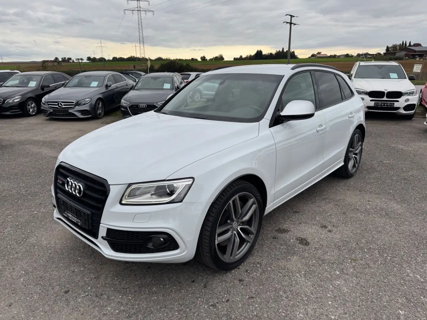 Audi SQ5 3.0 TDI Compe Quattro Kamera ACC StandHe MMI Blanc - 1
