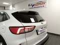 Ford Kuga 2.0 EcoBlue 120CV aut. 2WD ST-Line X Weiß - thumbnail 18