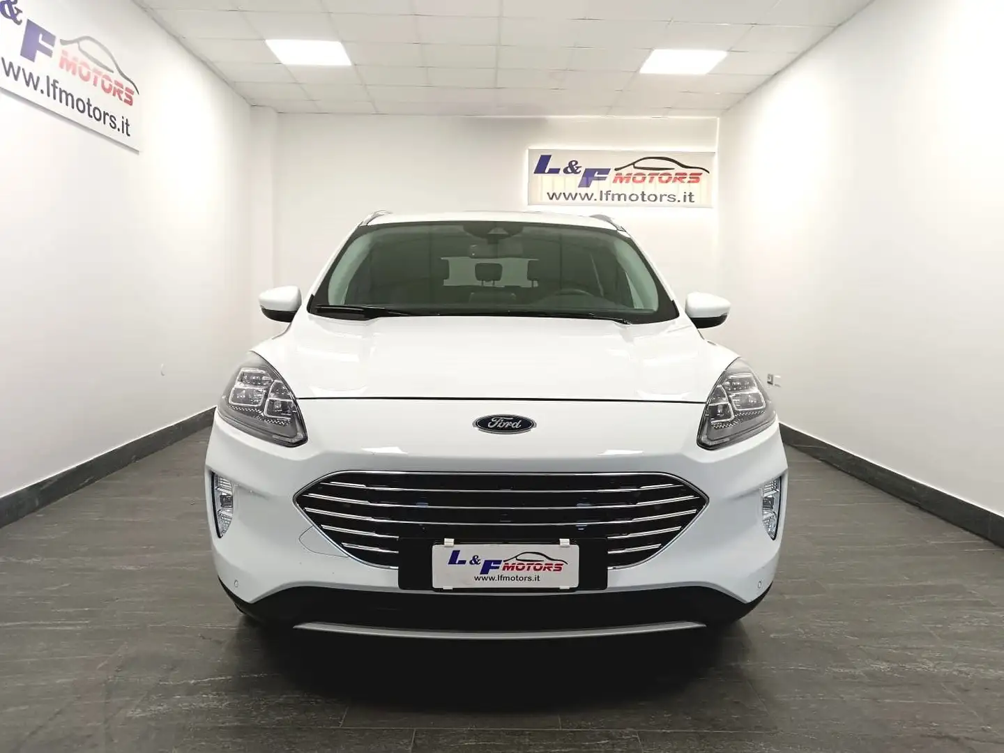 Ford Kuga 2.0 EcoBlue 120CV aut. 2WD ST-Line X Bianco - 2