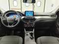 Ford Kuga 2.0 EcoBlue 120CV aut. 2WD ST-Line X Weiß - thumbnail 19