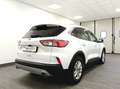 Ford Kuga 2.0 EcoBlue 120CV aut. 2WD ST-Line X Bianco - thumbnail 4