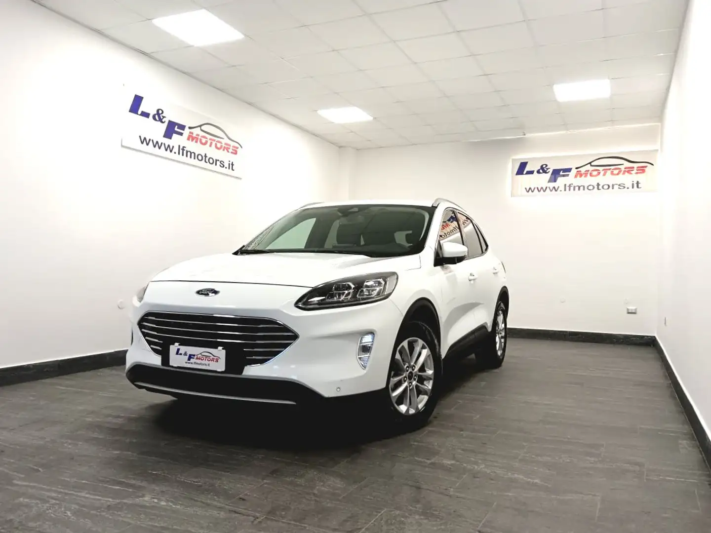 Ford Kuga 2.0 EcoBlue 120CV aut. 2WD ST-Line X Bianco - 1