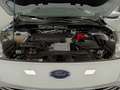 Ford Kuga 2.0 EcoBlue 120CV aut. 2WD ST-Line X Weiß - thumbnail 20