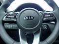 Kia XCeed 1.6 GDI PHEV EDRIVE 141CV 5P Weiß - thumbnail 19