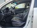 Kia Optima Spirit AUTOMATIK EURO 6 BI-XENON Weiß - thumbnail 15