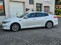 Kia Optima Spirit AUTOMATIK EURO 6 BI-XENON Weiß - thumbnail 3