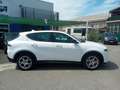 Alfa Romeo Tonale Tonale 1.6 Sprint 130cv tct6 Bianco - thumbnail 3