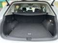 Volkswagen Tiguan Allspace 2.0TDI Life DSG 110kW Blanco - thumbnail 20