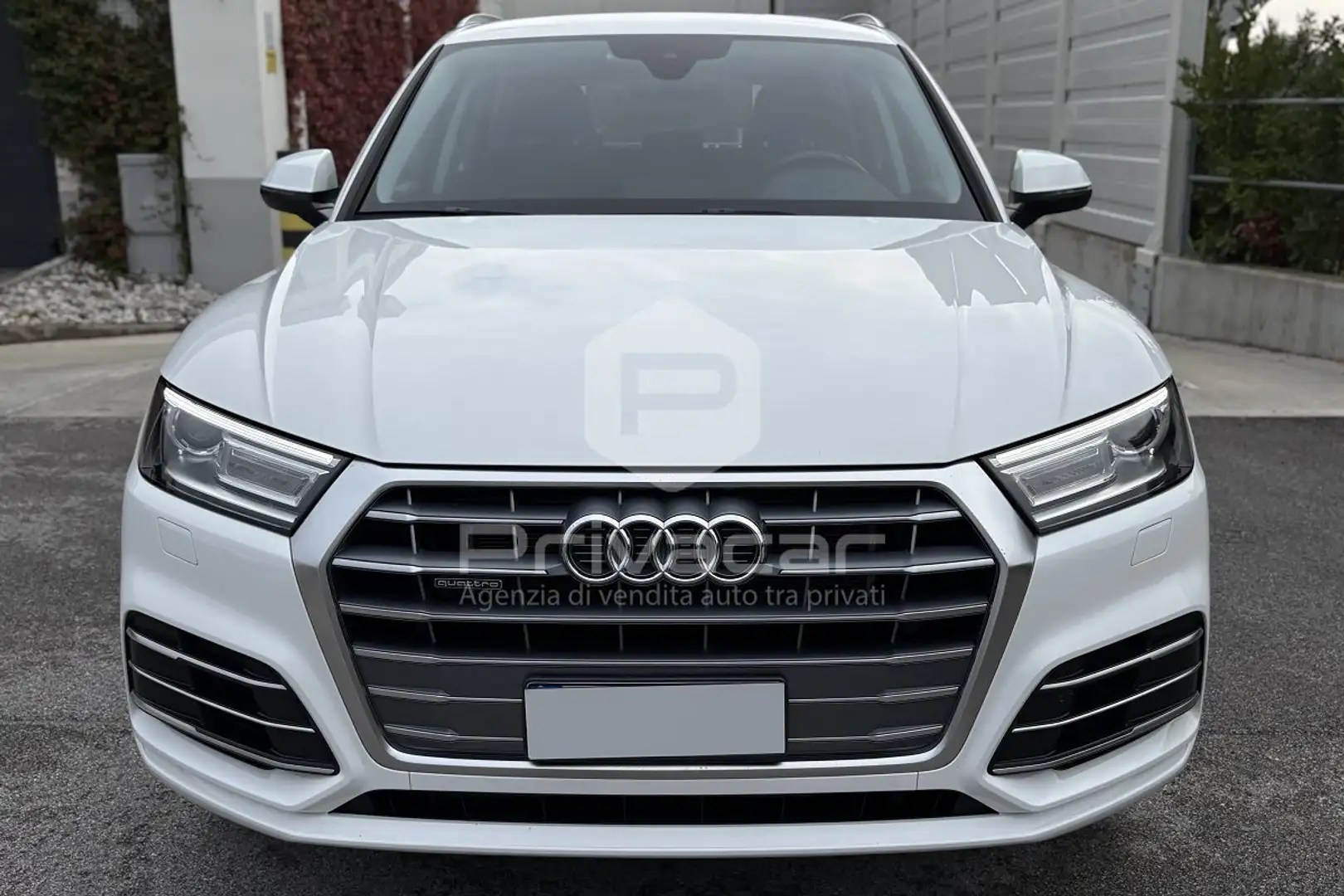 Audi Q5 Q5 50 TFSI e quattro S tronic S line plus Bianco - 2