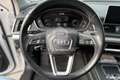 Audi Q5 Q5 50 TFSI e quattro S tronic S line plus Bianco - thumbnail 10