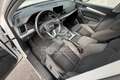 Audi Q5 Q5 50 TFSI e quattro S tronic S line plus Bianco - thumbnail 8