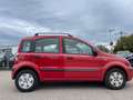 Fiat Panda 1.2 8V Dynamic/Panoramadach Rouge - thumbnail 6