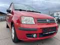 Fiat Panda 1.2 8V Dynamic/Panoramadach Rouge - thumbnail 3
