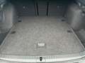 Skoda Octavia Selection TDI DSG Grau - thumbnail 13