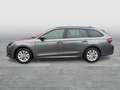 Skoda Octavia Selection TDI DSG Grau - thumbnail 4