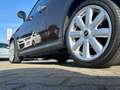 MINI Cooper Cabrio Cooper Braun - thumbnail 5