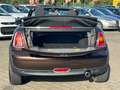 MINI Cooper Cabrio Cooper Braun - thumbnail 7
