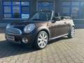 MINI Cooper Cabrio Cooper Braun - thumbnail 1