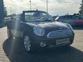 MINI Cooper Cabrio Cooper Braun - thumbnail 2